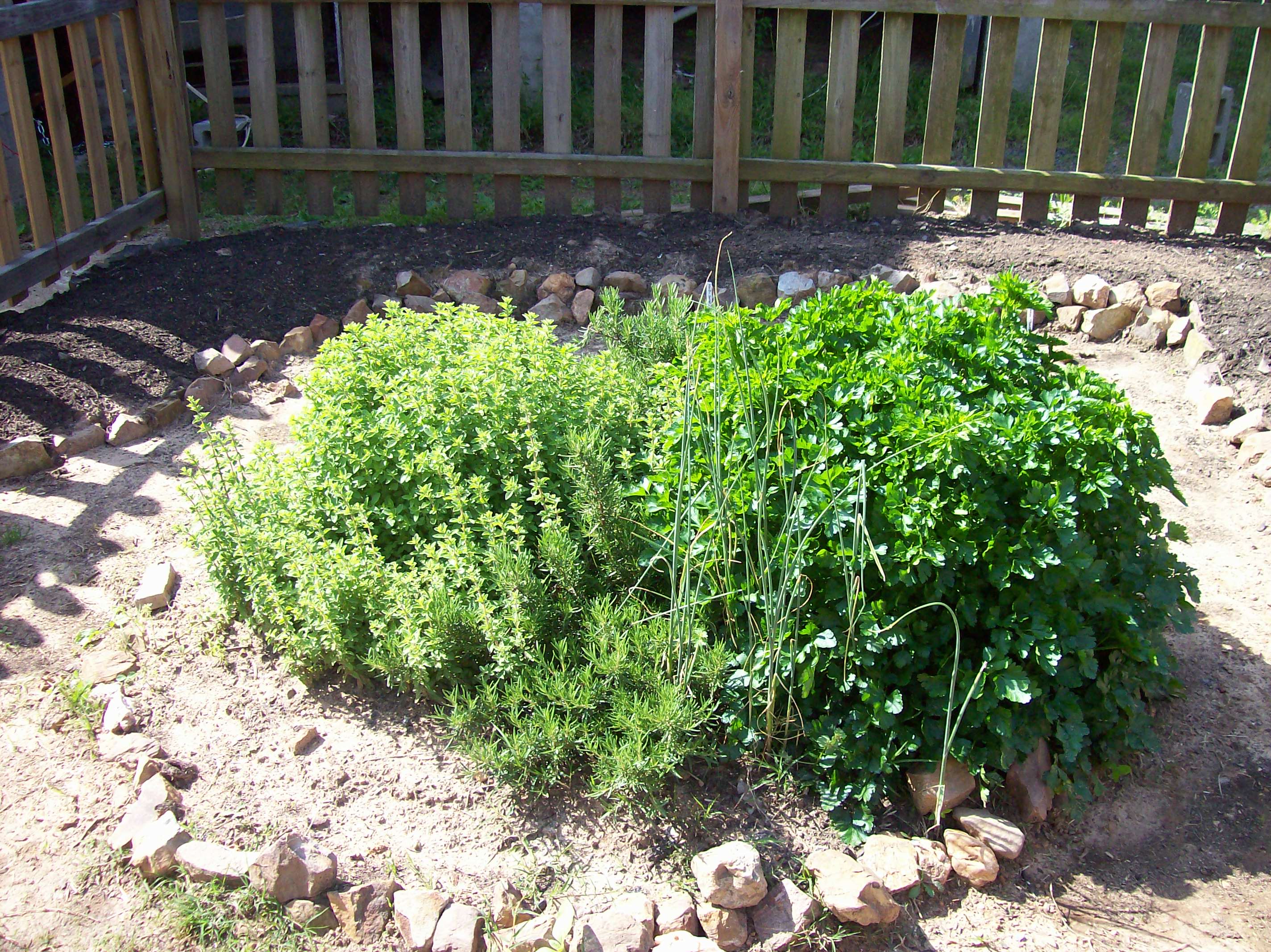 Herb Garden